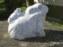 Granitfrosch mit Baby